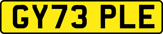 GY73PLE