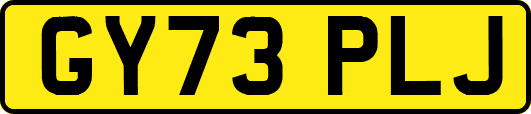 GY73PLJ