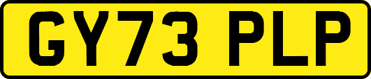 GY73PLP