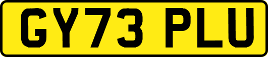 GY73PLU