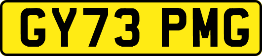 GY73PMG