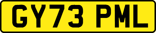 GY73PML