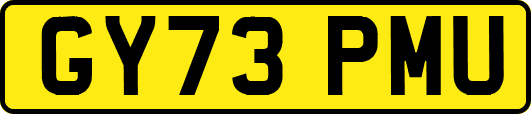 GY73PMU