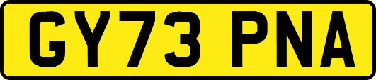 GY73PNA