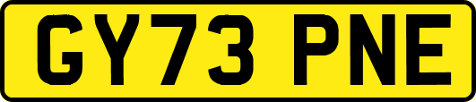 GY73PNE