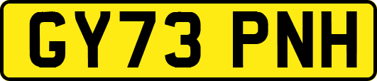 GY73PNH