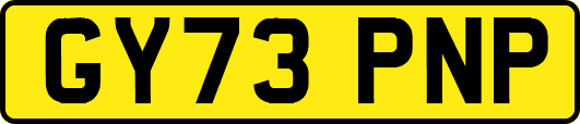 GY73PNP