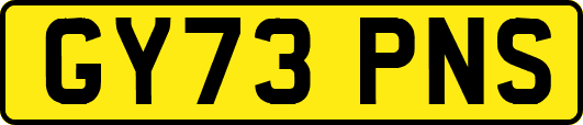 GY73PNS