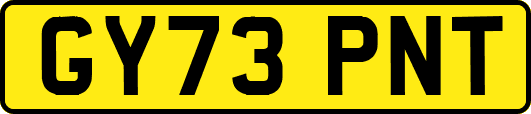 GY73PNT