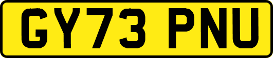 GY73PNU