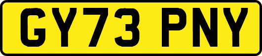 GY73PNY