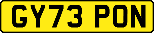 GY73PON