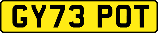 GY73POT