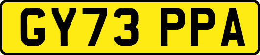 GY73PPA