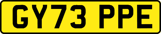 GY73PPE