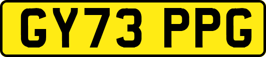 GY73PPG