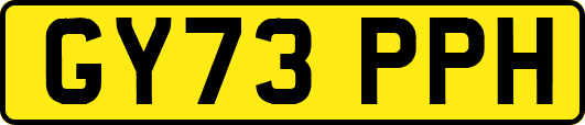 GY73PPH