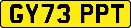GY73PPT