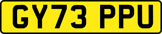 GY73PPU