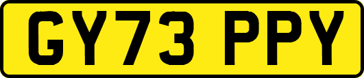 GY73PPY