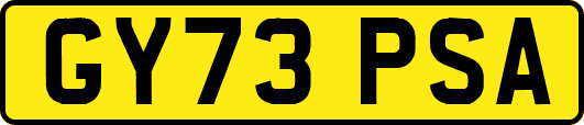 GY73PSA