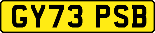 GY73PSB