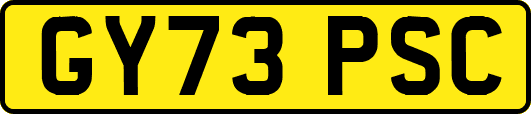GY73PSC