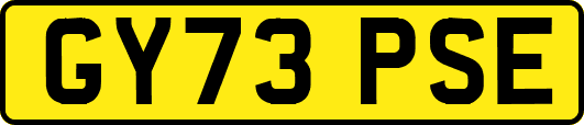 GY73PSE