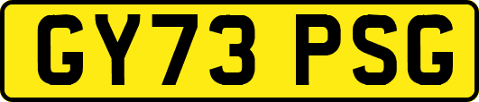GY73PSG