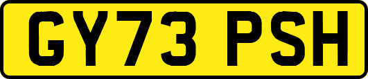 GY73PSH