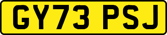 GY73PSJ