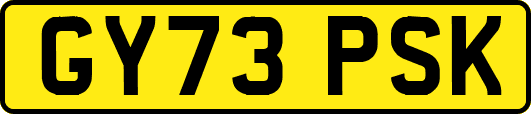 GY73PSK