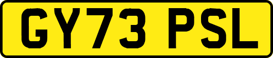 GY73PSL