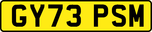 GY73PSM