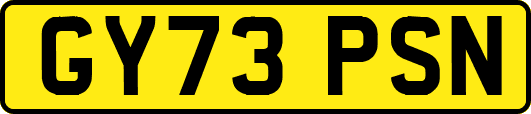 GY73PSN