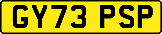 GY73PSP