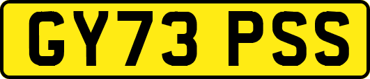 GY73PSS