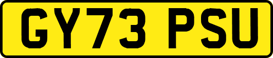 GY73PSU