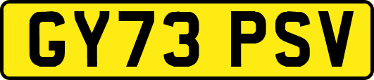 GY73PSV