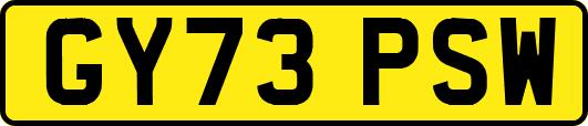 GY73PSW