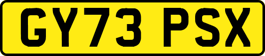 GY73PSX
