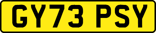 GY73PSY