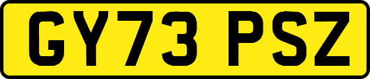 GY73PSZ