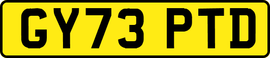 GY73PTD