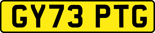 GY73PTG