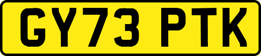 GY73PTK