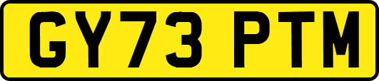 GY73PTM