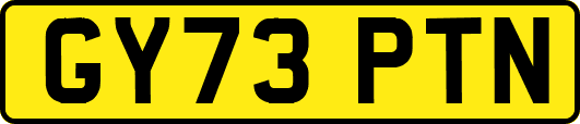 GY73PTN