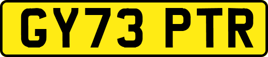 GY73PTR