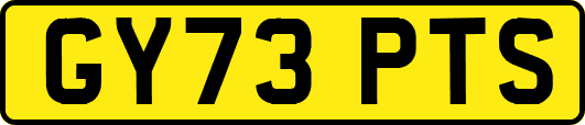 GY73PTS
